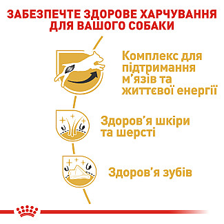 Royal Canin Jack Russell Terrier Adult сухой корм для взрослых собак породы джек-рассел-терьер от 10 месяцев, 1.5 кг