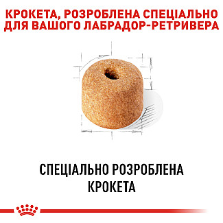 Royal Canin Labrador Retriver Adult сухой корм для взрослых собак породы лабрадор ретривер от 15 месяцев, 12 кг