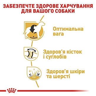 Royal Canin Labrador Retriver Adult сухой корм для взрослых собак породы лабрадор ретривер от 15 месяцев, 12 кг