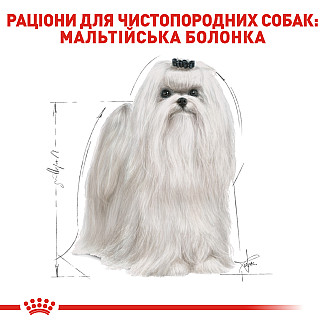 Royal Canin Maltese Adult (Роял Канин Мальтезе Эдалт) сухой корм для взрослых собак породы мальтийская болонка, 1.5 кг