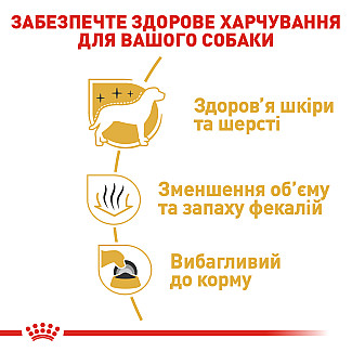Royal Canin Maltese Adult (Роял Канин Мальтезе Эдалт) сухой корм для взрослых собак породы мальтийская болонка, 1.5 кг