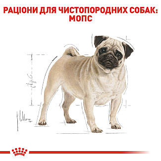 Royal Canin French Bulldog Puppy (Френч Бульдог Паппи) сухой корм для щенков породы французский бульдог до 12 месяцев, 1 кг