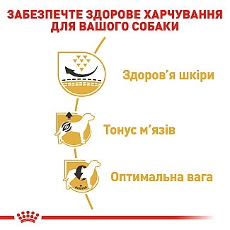 Royal Canin French Bulldog Puppy (Френч Бульдог Паппи) сухой корм для щенков породы французский бульдог до 12 месяцев, 1 кг
