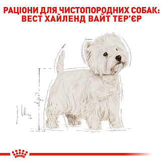 Royal Canin  WEST HIGHLAND WHITE TERRIER ADULT сухой корм для взрослых собак породы вест хайленд уайт терьер от 10 месяцев, 3 кг