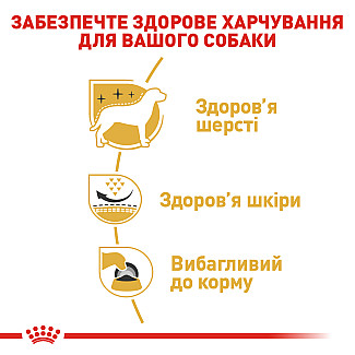Royal Canin  WEST HIGHLAND WHITE TERRIER ADULT сухой корм для взрослых собак породы вест хайленд уайт терьер от 10 месяцев, 3 кг