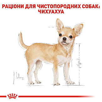 Royal Canin CHIHUAHUA ADULT Влажный корм для собак породы Чихуахуа в возрасте с 8 месяцев, 85 гр
