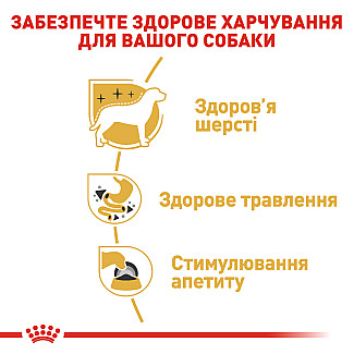 Royal Canin CHIHUAHUA ADULT Влажный корм для собак породы Чихуахуа в возрасте с 8 месяцев, 85 гр