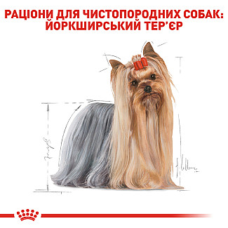Влажный корм для взрослых собак породы йоркширский терьер Royal Canin Yorkshire Terrier паштет, 85 г
