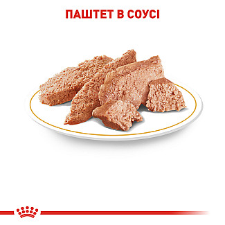 Влажный корм для взрослых собак породы йоркширский терьер Royal Canin Yorkshire Terrier паштет, 85 г