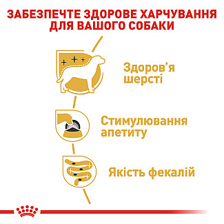 Влажный корм для взрослых собак породы йоркширский терьер Royal Canin Yorkshire Terrier паштет, 85 г