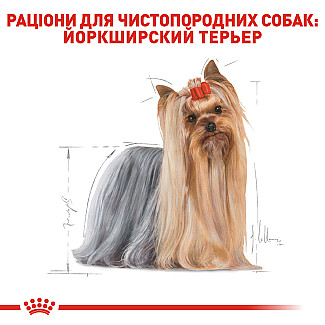 Royal Canin Yorkshire Adult (Роял Канин Йоркшир Эдалт) сухой корм для взрослых собак породы йорширский терьер от 10 месяцев, 500 г