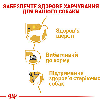 Royal Canin Yorkshire Adult (Роял Канин Йоркшир Эдалт) сухой корм для взрослых собак породы йорширский терьер от 10 месяцев, 500 г