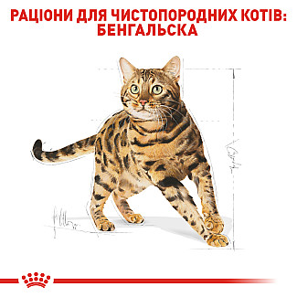 Royal Canin Bengal Adult Сухой корм специально для взрослых бенгальских кошек старше 12 месяцев, 2 кг