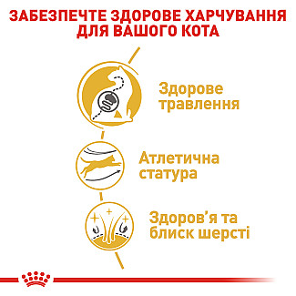 Royal Canin Bengal Adult Сухой корм специально для взрослых бенгальских кошек старше 12 месяцев, 2 кг