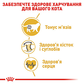 Royal Canin BRITISH SHORTHAIR ADULT Влажный корм для британских короткошерстных кошек старше 12 месяцев, 85 гр