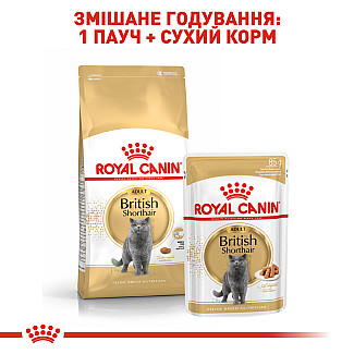 Royal Canin BRITISH SHORTHAIR ADULT Влажный корм для британских короткошерстных кошек старше 12 месяцев, 85 гр