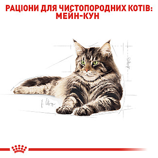 Royal Canin MAINE COON ADULT  сухой корм для котов породы мэйн кун, 10 кг