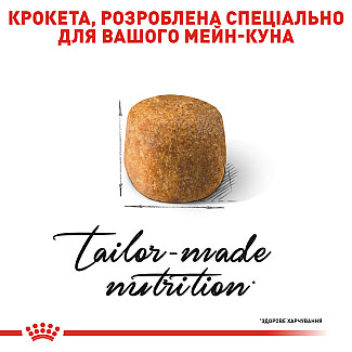 Royal Canin MAINE COON ADULT  сухой корм для котов породы мэйн кун, 10 кг