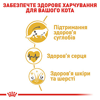 Royal Canin MAINE COON ADULT  сухой корм для котов породы мэйн кун, 10 кг