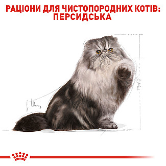 Royal Canin PERSIAN ADULT сухой корм для взрослых персидских кошек, 2 кг