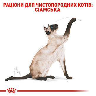 Royal Canin SIAMESE ADULT сухой корм для взрослых сиамских кошек, 400 гр