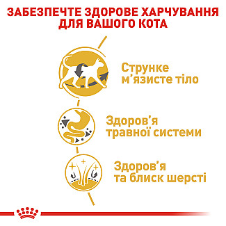 Royal Canin SIAMESE ADULT сухой корм для взрослых сиамских кошек, 400 гр