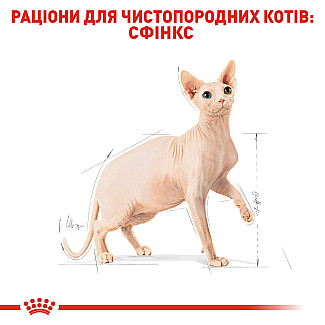 Royal Canin SPHYNX ADULT сухой корм для взрослых кошек породы Сфинкс, 2 кг