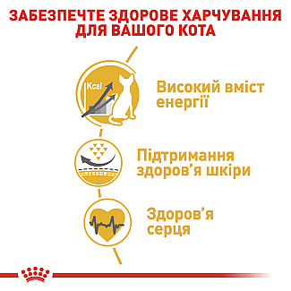 Royal Canin SPHYNX ADULT сухой корм для взрослых кошек породы Сфинкс, 2 кг