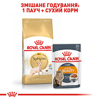 Royal Canin SPHYNX ADULT сухой корм для взрослых кошек породы Сфинкс, 2 кг