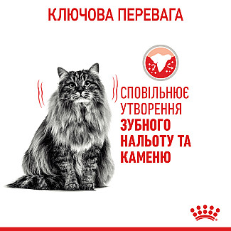 Royal Canin Oral / Dental  Care Сухой корм для кошек Профилактики образования зубного налета и зубного камня, 400 г