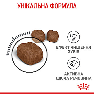 Royal Canin Oral / Dental  Care Сухой корм для кошек Профилактики образования зубного налета и зубного камня, 400 г