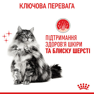Royal Canin HAIR&SKIN CARE сухой корм для кошек с чувствительной кожей и для улучшения шерсти, 400 гр