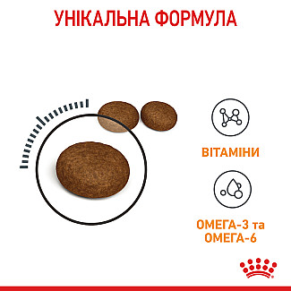 Royal Canin HAIR&SKIN CARE сухой корм для кошек с чувствительной кожей и для улучшения шерсти, 400 гр