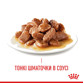 Консерви для кішок Royal Canin Hair & Skin Care  підтримання краси шерсті, шматочки в соусі, 85 г