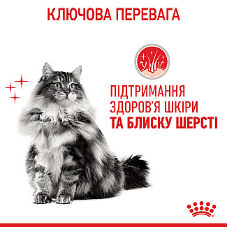 Консервы для кошек Royal Canin IHair & Skin Care поддержания красоты шерсти, кусочки в желе, 85 г