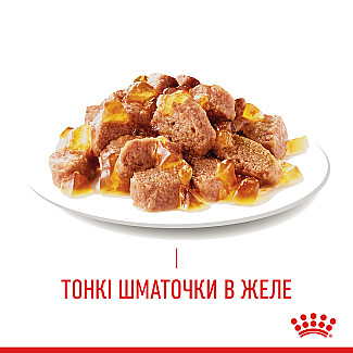 Консервы для кошек Royal Canin IHair & Skin Care поддержания красоты шерсти, кусочки в желе, 85 г