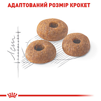Royal Canin FIT сухой корм для кошек в возрасте от 1 до 10 лет в хорошей физической форме, 400 гр