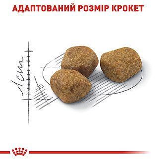 Royal Canin INDOOR 7+ сухой корм для взрослых кошек не покидающих помещение старше 7 лет, 3.5 кг