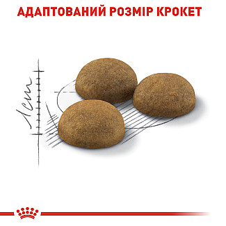 Royal Canin INDOOR LONG HAIR сухой корм для длинношерстных кошек постоянно живущих в помещении, 2 кг