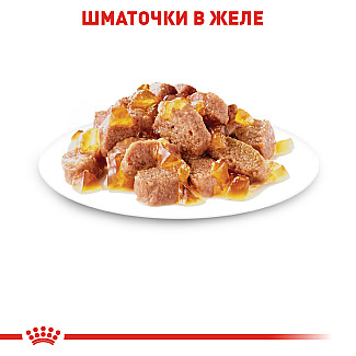 Royal Canin  INSTINCTIVE IN JELLY консервы в желе для кошек старше 1 года, 85 г