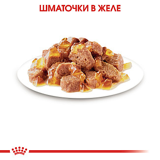 Royal Canin Sterilised in Jelly - Консервований корм для дорослих стерилізованих котів (дрібні шматочки в желе), 85 г