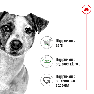 Royal Canin MINI ADULT влажный корм для собак с 10 месяцев до 12 лет, 85 гр