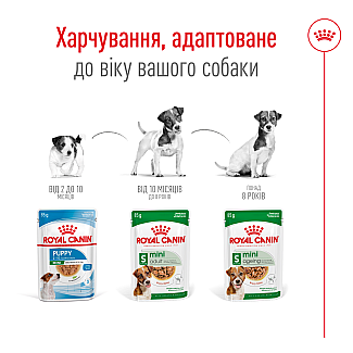 Royal Canin MINI ADULT влажный корм для собак с 10 месяцев до 12 лет, 85 гр