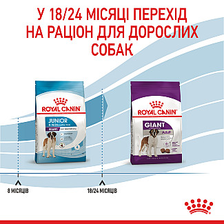 Сухой корм для цуценят гігантських порід Royal Canin Giant Junior, 15 кг