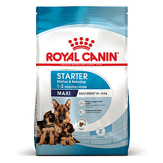 Сухий корм для вагітних і годуючих та цуценят великих порід Royal Canin Maxi Starter, 4 кг