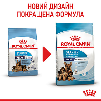 Сухий корм для вагітних і годуючих та цуценят великих порід Royal Canin Maxi Starter, 4 кг