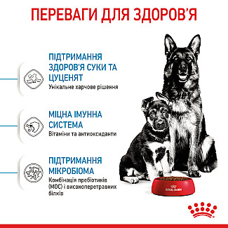 Сухий корм для вагітних і годуючих та цуценят великих порід Royal Canin Maxi Starter, 4 кг