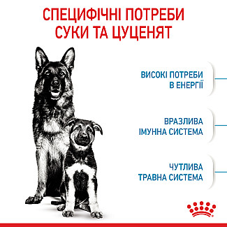 Сухий корм для вагітних і годуючих та цуценят великих порід Royal Canin Maxi Starter, 4 кг