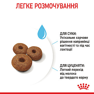Сухий корм для вагітних і годуючих та цуценят великих порід Royal Canin Maxi Starter, 4 кг
