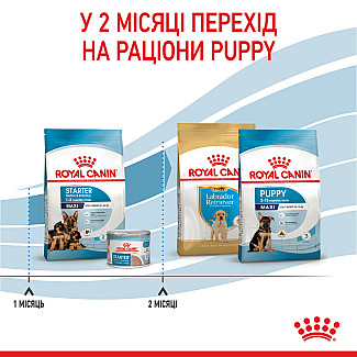 Сухий корм для вагітних і годуючих та цуценят великих порід Royal Canin Maxi Starter, 4 кг